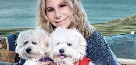 BARBRA STREISAND RIVELA CHE HA FATTO CLONARE IL SUO CANE SAMANTHA 