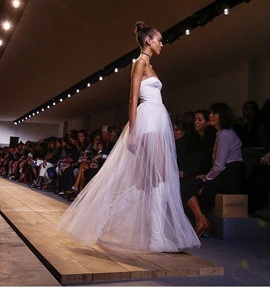 christian dior tulle